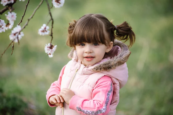 Bonita niña en flor jardín de albaricoque en hermoso día de primavera — Foto de Stock