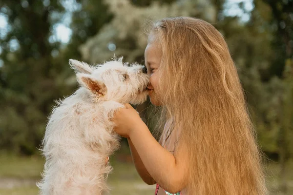 Adorável menina segurando um cachorro Westie — Fotografia de Stock