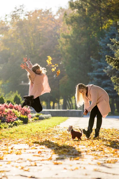 Mulher de família e sua filha estão andando no parque de outono com seu cão Yorkshire Terrier — Fotografia de Stock