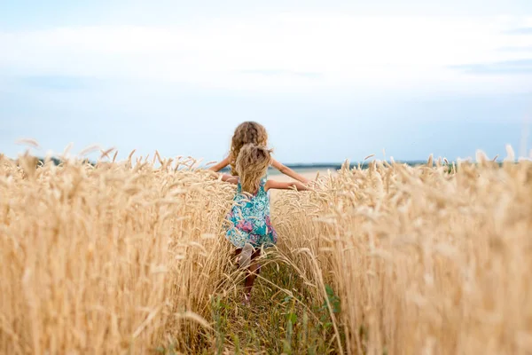 Emotionele zusters uitvoeren op het tarweveld bij zonsondergang, het concept van vrijheid en jeugd, lifestyle, pastel kleuren — Stockfoto