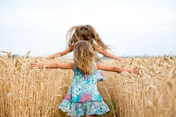 Emotionele zusters uitvoeren op het tarweveld bij zonsondergang, het concept van vrijheid en jeugd, lifestyle, pastel kleuren — Stockfoto