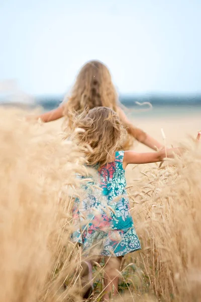 Emotionele zusters uitvoeren op het tarweveld bij zonsondergang, het concept van vrijheid en jeugd, lifestyle, pastel kleuren — Stockfoto