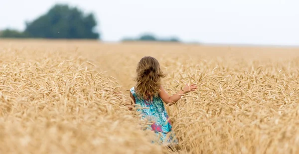 Meisje tiener met lange haren loopt in het veld. Tarwe veld. Freedom concept — Stockfoto