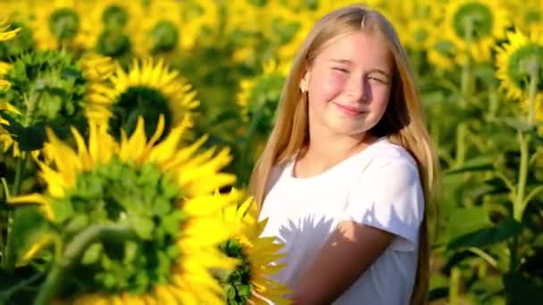 Симпатична дівчина в соняшниковому полі позує на камеру, гармоніює з природою, молода модель — стокове відео