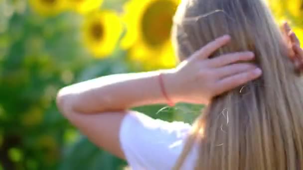 Linda chica en el campo de girasol posando para la cámara, armonía con la naturaleza, modelo joven — Vídeos de Stock
