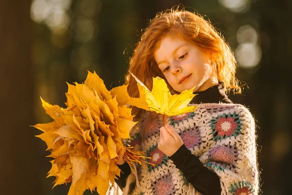 Beautiful red head girl holding autumn leaves and posing for camera, colorful photo — Stock Photo, Image