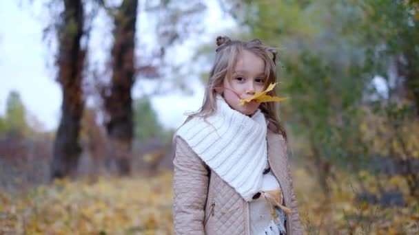 Mädchen Mit Einem Bub Mit Einem Strauß Gelber Blätter Park — Stockvideo
