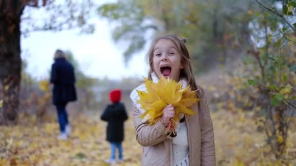 Fille Avec Une Bogirl Avec Bouquet Feuilles Jaunes Dans Parc — Video