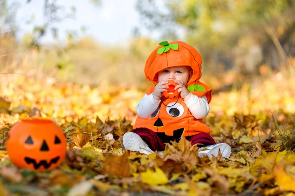 Child in pumpkin suit on background of autumn leaves Stock Image