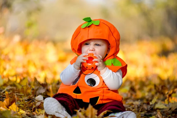 Child in pumpkin suit on background of autumn leaves Stock Picture