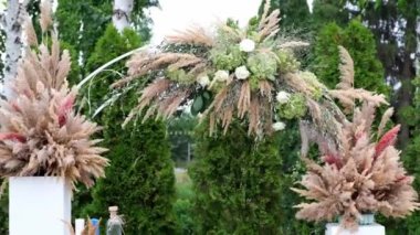 Pampas otu. Çimler rüzgarda sallanıyor. Bitkiler rüzgarda yavaş hareket eder. Ağır çekim. Düğün dekoru, tarz 2020