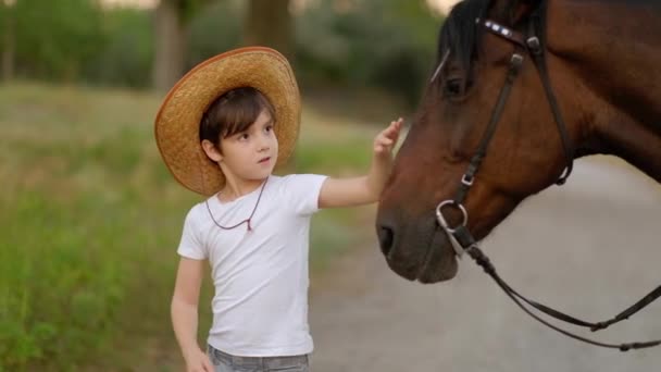 一个戴着牛仔帽的可爱小男孩抚摸着一匹美丽的马 — 图库视频影像