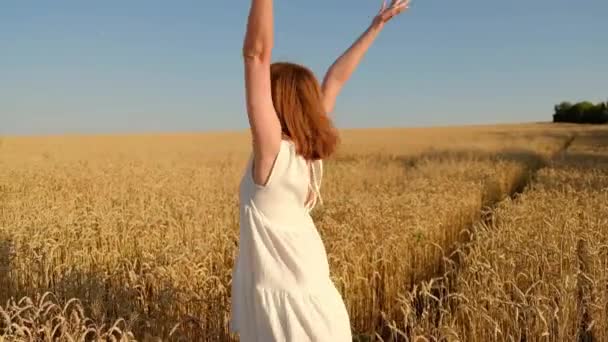 Menina feliz caminha em câmera lenta através de um campo amarelo, tocando as orelhas de trigo com as mãos. Mulher despreocupada bonita desfrutando da natureza e da luz solar em um campo de trigo — Vídeo de Stock