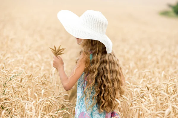 Een gelukkig jong meisje staat in een geel veld, de oren van tarwe beroerend met haar handen. Prachtige zorgeloze vrouw genietend van natuur en zonlicht in tarweveld — Stockfoto