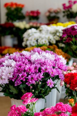 Kasımpatı. Kavanozda kasımpatı