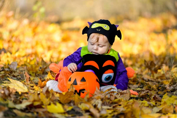 Cute boy in spider costume sitting on orange leaves in autumn park, celebrating halloween