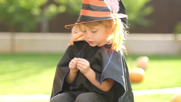 Children Eat Candy Halloween Portrait Caucasian Preschooler Boy Bat Costume — Stock Video