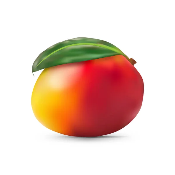 Vector Rijp Mangofruit Met Blad Geïsoleerd Witte Achtergrond — Stockvector