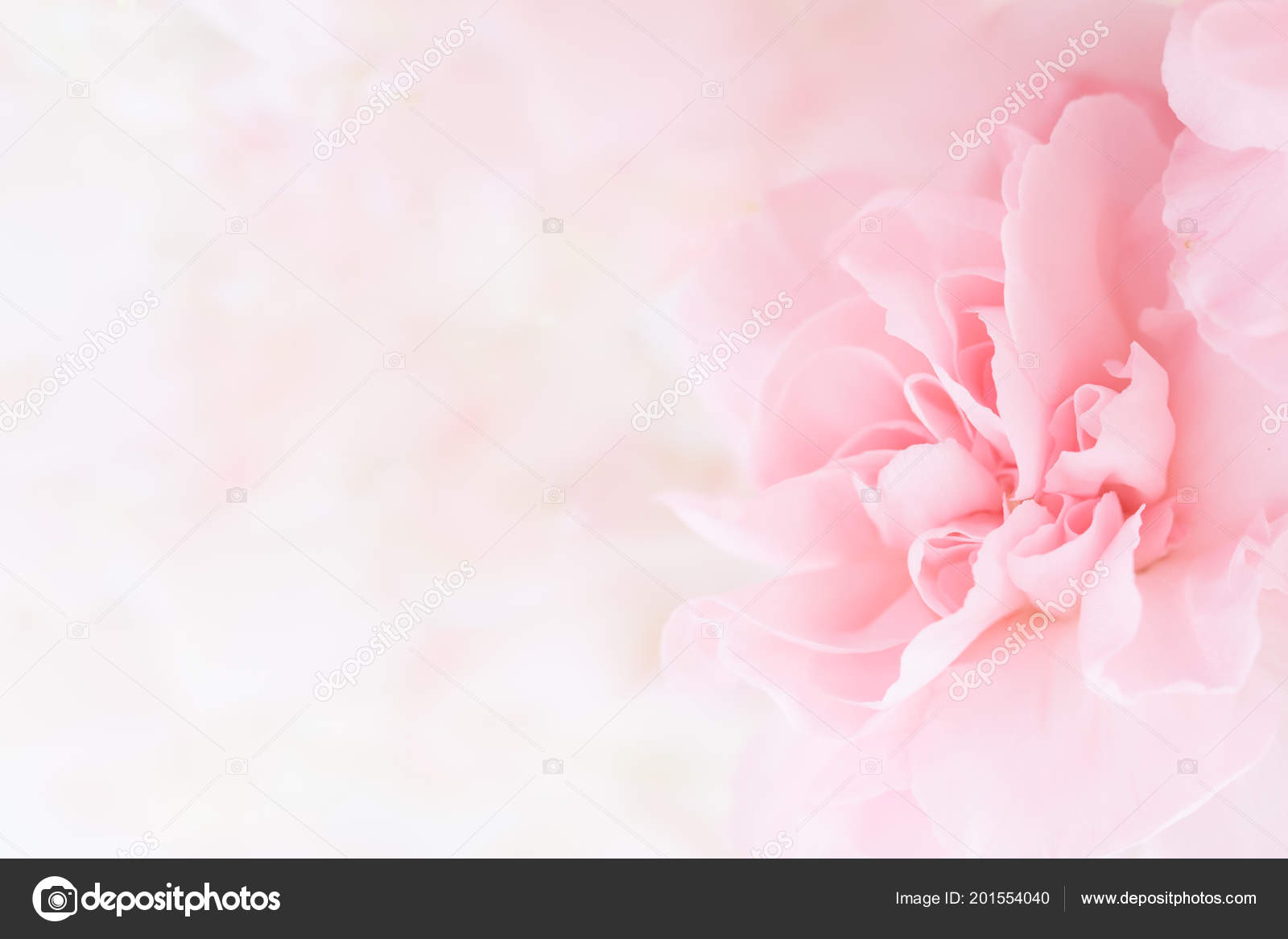 Pink Background Flowers gambar ke 10