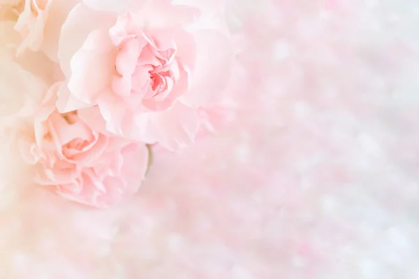 Pembe karanfil çiçek buketi açık pembe renkli üzerinde. yumuşak filtre.
