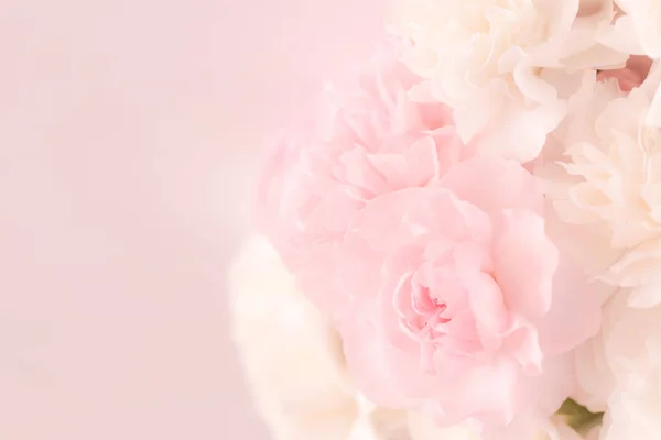 Pembe karanfil çiçek buketi açık pembe renkli üzerinde. yumuşak filtre.