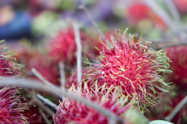 A yakın çekim rambutan meyvesi o kazık birlikte Satılık.