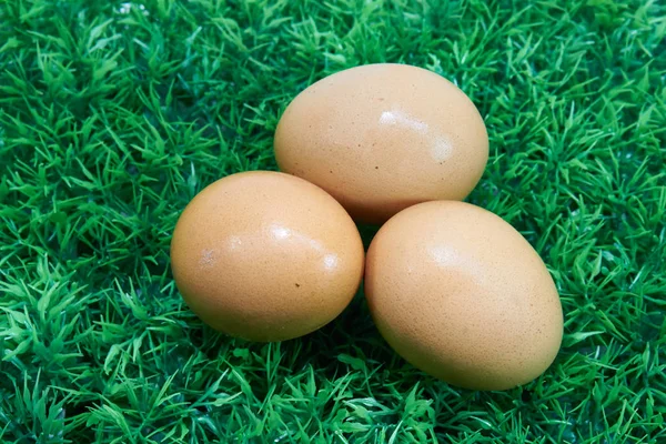 çim üzerinde bir üçgen yerleştirilen 3 yumurta.