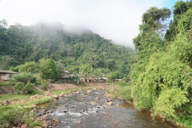 Yukarıda yüzen sis ile ormanın ortasında nehir manzarası
