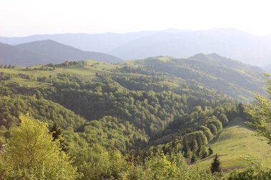 Dağlarda güneşli gün