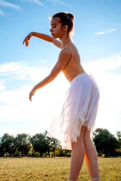 Чуттєва Балерина Природі Влітку — стокове фото