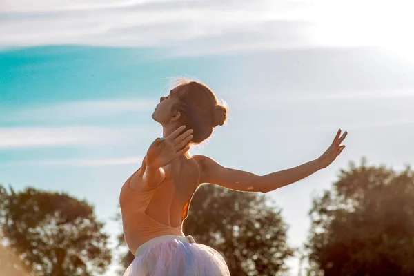 Чуттєва Балерина Природі Влітку — стокове фото