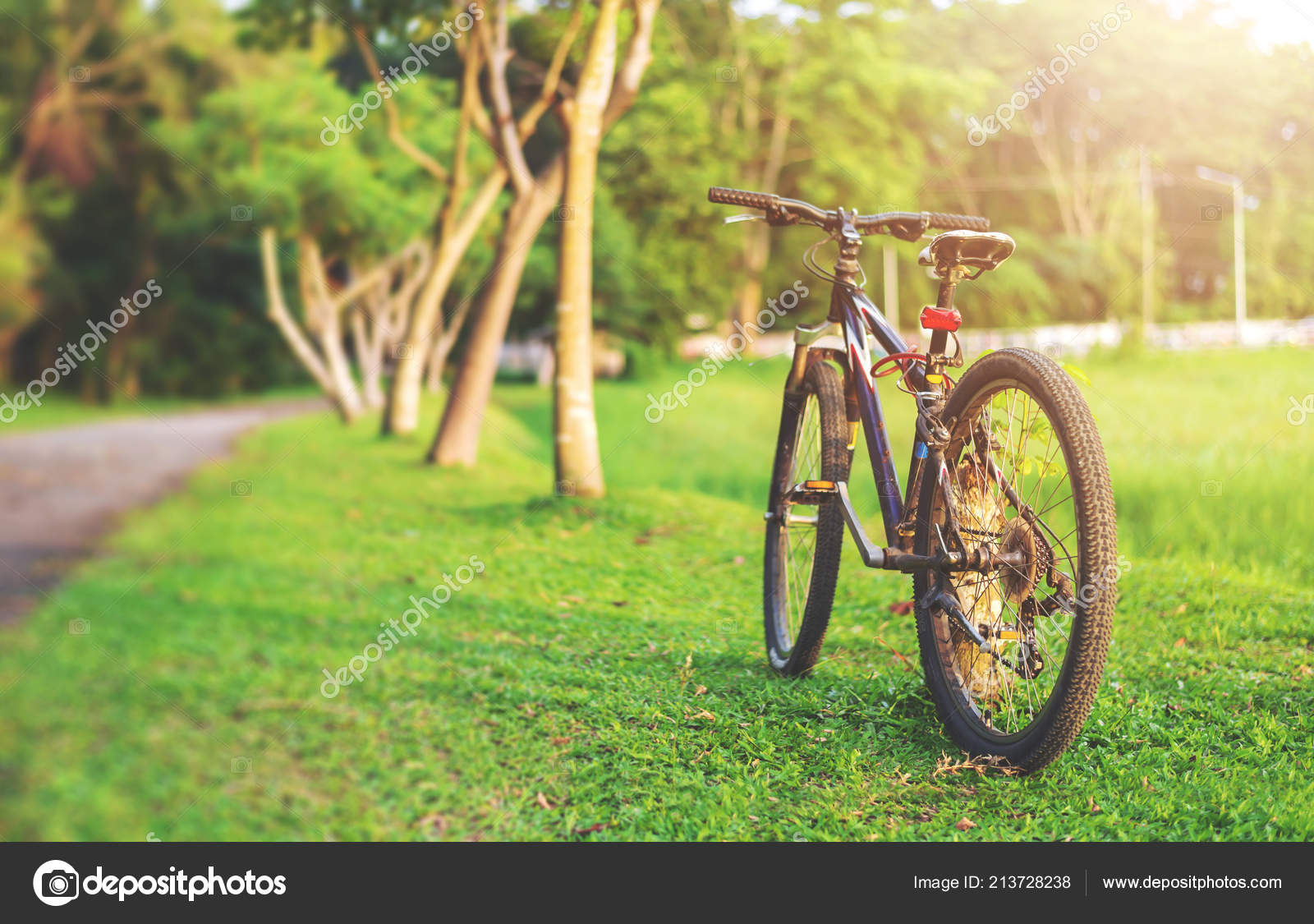 focus light bike