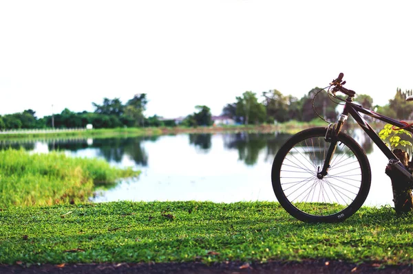 Vackra Cykel Vid Solnedgången Med Mjuk Fokus Och Över Ljuset — Stockfoto