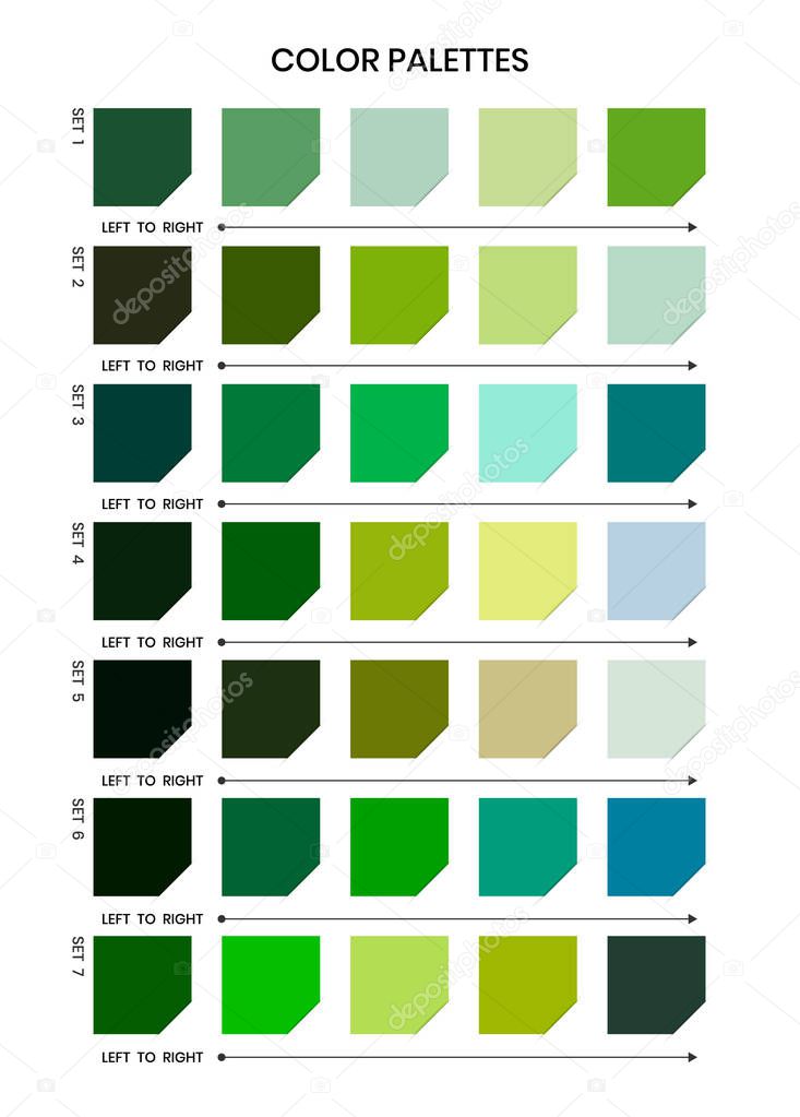 color palettes vector design