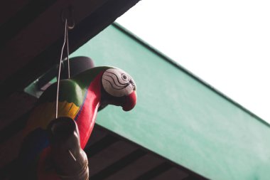 ahşap ev dekorasyon ile yumuşak odak ve ışık içinde belgili tanımlık geçmiş üzerinden için yapılan papağan