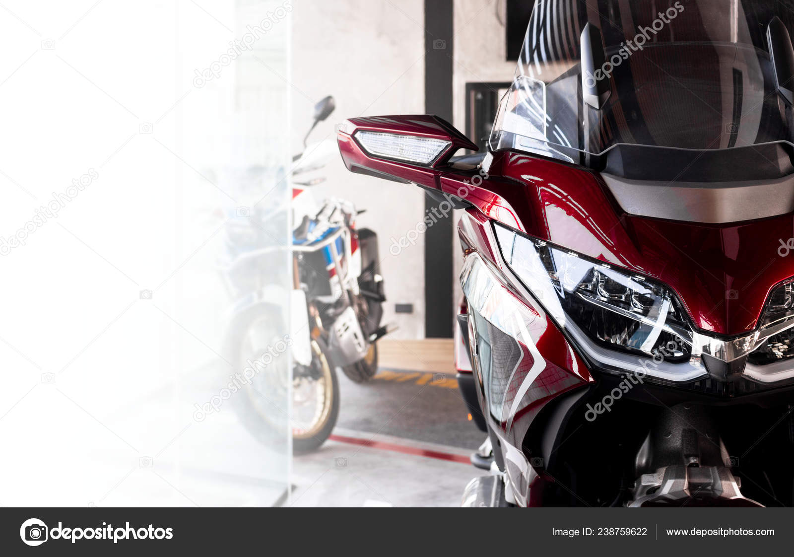 focus light bike