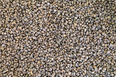 Kahve çekirdekleri kızarmamış. en üstteki görünüm