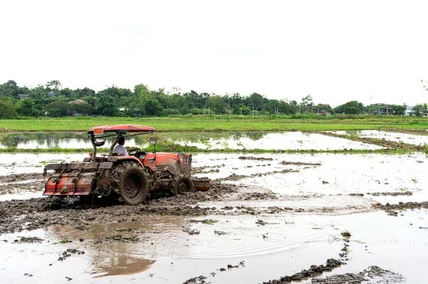 Campo Arroz Agrícola Con Coche Tractor Con Enfoque Suave Sobre — Foto de Stock