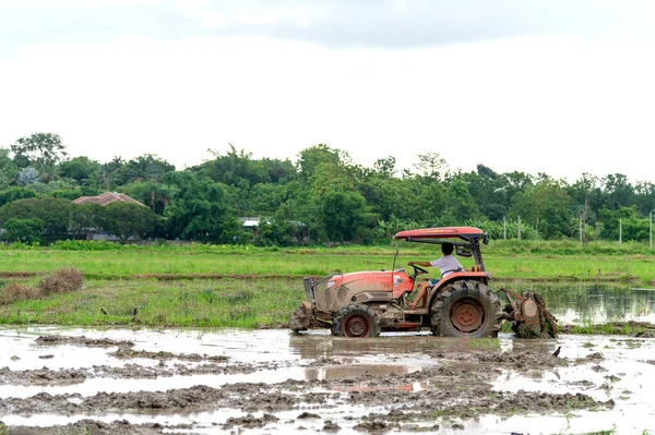 Campo Arroz Agrícola Con Coche Tractor Con Enfoque Suave Sobre — Foto de Stock