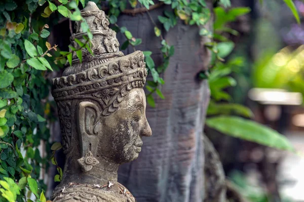 buddhism for statues or models of the buddha portrait with soft-focus and over light in the background