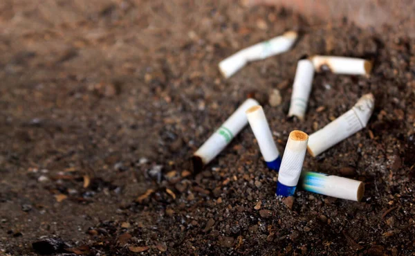 stock image closeup cigarette with soft-focus and over light in the background