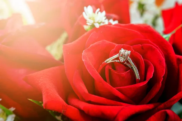 Anillos Boda Flor Rosa Roja Con Sobre Luz Enfoque Suave — Foto de Stock