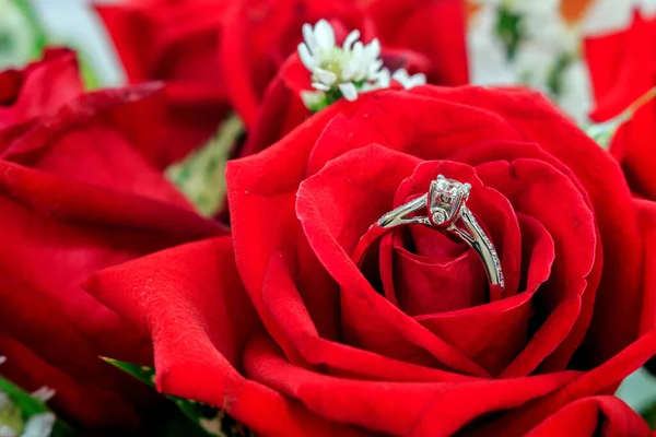 Trauringe Auf Der Roten Rosenblume Mit Überhellem Und Weichem Fokus — Stockfoto