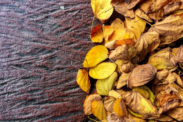 Herbstblätter Auf Steinboden Ansicht Von Oben — Stockfoto