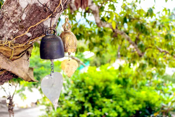 Tapınaktaki ağaçta asılı duran eski çan yumuşak odaklı ve arka plandaki ışığın üzerinde