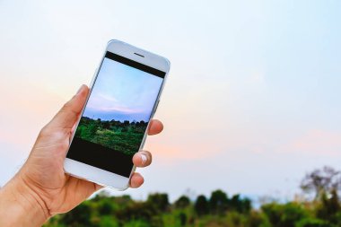 Sol kollu adam cep telefonunu arka planda doğal olarak yumuşak odaklı tutuyor. ışık üzerinde