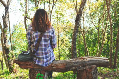Genç yürüyüş yapan esmer güzellik, sıcak sonbahar renkleriyle parkta dinleniyor. arkaplanda ve ışığın üzerinde yumuşak odak