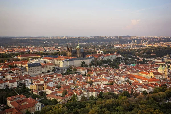 Top View Old City Prague — Stock Photo, Image