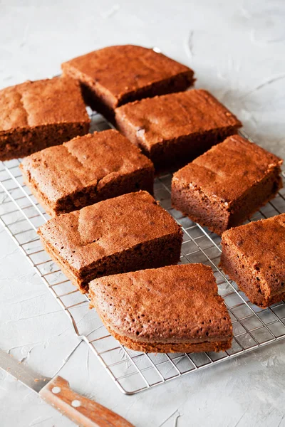 Fette Una Torta Cioccolato Fatta Casa Una Griglia Raffreddamento — Foto Stock