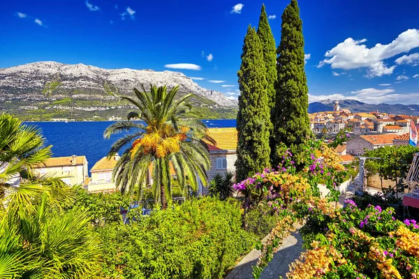Der Blick Auf Die Stadt Korcula Insel Korcula Dalmatien Kroatien — Stockfoto